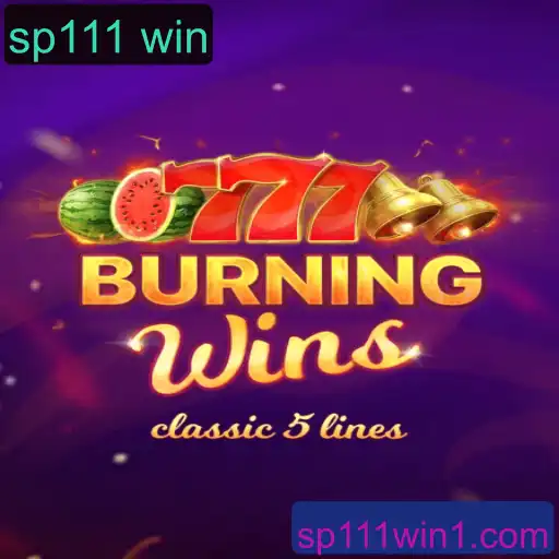 Descubra o Mundo Empolgante de BurningWins: Guia Completo sobre o Jogo
